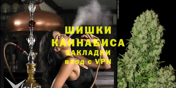 молекула духа Магадан