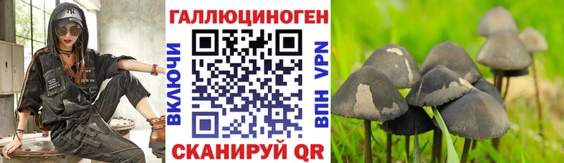 Галлюциногенные грибы GOLDEN TEACHER  Новоузенск 