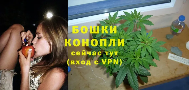 Шишки марихуана THC 21%  цены наркотик  Новоузенск 